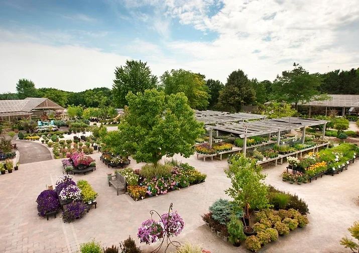 A aerial view of a variety of garden plants outside the Prospect Hill Garden Center.